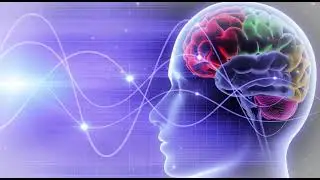 Alpha Brainwave Music &ndash; Deep Relaxation, Enhanced Focus, Stress Reduction | Alpha Waves Music