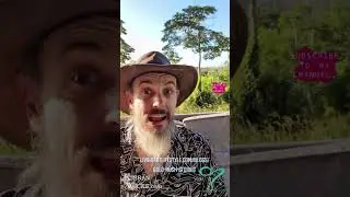 Was it worth the trip from Sydney to the Gulgong gold fields?