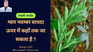 Guarseed price नवम्बर में ऊपर कहाँ तक जायेगा |