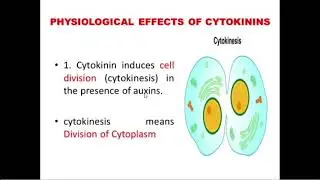 CYTOKININS