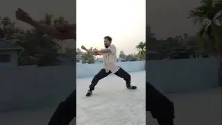 kung fu training #wushu#fighting