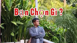 BẠN SẼ MUA GÌ KHI CÓ 100 TỶ ? 