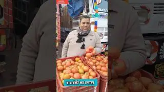 Barabanki ka tamatar 🍅 tomato rate today 🍅 tamatar ka bhav 🍅 Mandi bhav 🥕 #shafeeqbarabanki #tomato