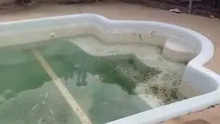 Fiberglass Pool Resurfacing in Dallas, Fort Worth and The Entire DFW Area
