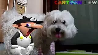 Ciro, my fat doggo (Audio by @GuessDoppia)