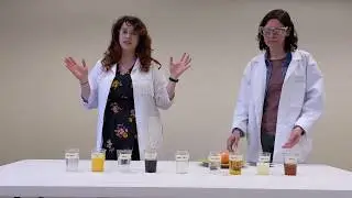 Apple Oxidation Experiment