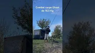 Combat carpe ghost de 15.5 Kg