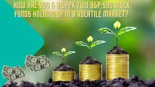 HOW ARE VOO & SWPPX TWO S&P 500 INDEX FUNDS HOLDING UP IN A VOLATILE MARKET?