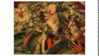 Kind Cafe Commercial