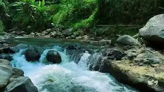 River Sounds All Night for Restful Sleep | Calm Natural Flowing Water Ambience