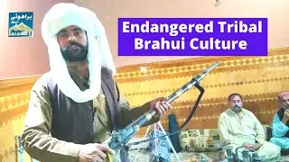 A Youngster's Struggle to Preserve and Promote Endangered Brahui Tribal Culture in Balochistan