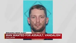Man wanted for assault, vandalism