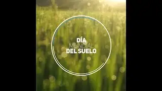 D&iacute;a del Suelo