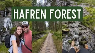 Exploring the Hidden Gems of Hafren Forest: Our 6km Adventure
