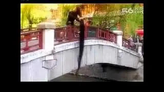 Xia Aifeng travelled in Lijiang, Yunnan province
