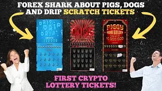 Forex Shark Live AMA About Pigs, Dogs & Drip Scratch Tickets -The First Crypto Lottery Ever!