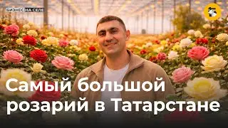Миллионы алых роз. Как цветочный курьер из Мамадыша «вырастил» бизнес до огромного розария