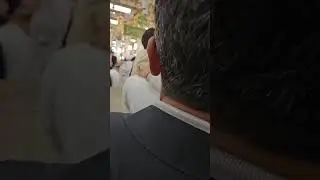 Efendimiz'in Ravzası