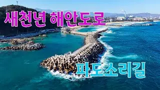 삼척 새천년해안도로 4k,uhd,265