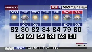 Expect sunshine and summery weather this week!