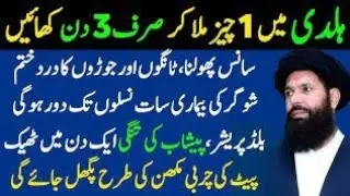 Quotes About life | Rumi Quotes in Urdu | Motivational Islamic Quotes | Golden Words | Hazrat Ali