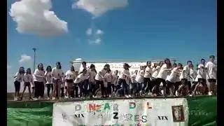 DANZAR 2016