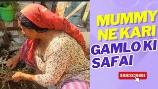 Mummy ne kari Safai🧹🧹 #vlog #viral #trending #gardening #twins #dailyvlog #family 
