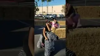 Pig & zebra ride!
