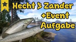Hecht und Zander Trophies am Ladoga Archipel | RF4 Spot