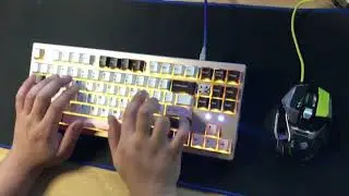 tx87se with gatron zealios v2 typing sounds