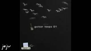 (free) (20) Guitar Loop Kit/Sample Pack 2022 | Rylo Rodriguez + NoCap + NBA YoungBoy + Kodak Black