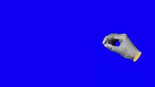 Hand Gestures 9