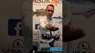 Ecooda Olta Takımları