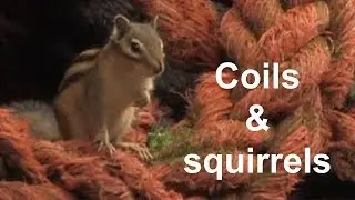 Egied Simons, COILS, Disruption – Remapping Nature, Lustwarande 2017