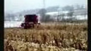CASE  IH cf 80 case IH mxm case IH cs Rihana please Agrofoto