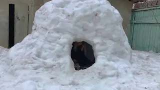 Soft Blade - Live from the ice cave