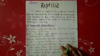class reptilia - characters and classification