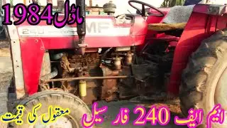 MF 240 Massey Ferguson for sale model 1984