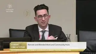 Dr Eoin Byrne speaking at The Oireachtas on a national remote work policy.