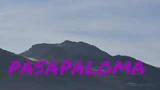 Paloma torcaz 9 noviembre 2025 hernani ziku&ntilde;aga 