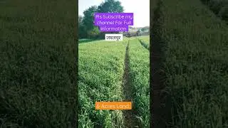 6 Acres Agriculture Land For Sale Madhya Pradesh Jabalpur
