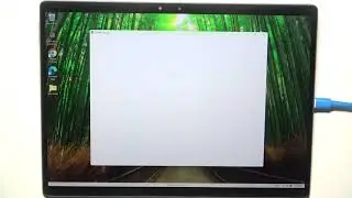 Wie installiere ich Google Chrome auf dem DELL 7320 Detachable?