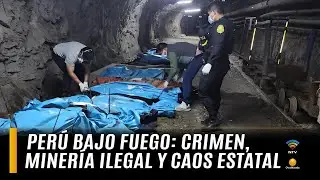 Econom&iacute;a ilegal y poder pol&iacute;tico: una amenaza silenciosa