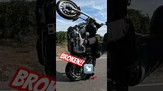 I bought that tail light 30 minutes before this was take. #wheelie #harleydavidson #motorcycle