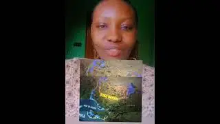 &ldquo;The U.S. Christmas Military Airstrike In Nigeria Explained.&rdquo; - Popular American Analyst #viral