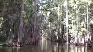 FloridaLand