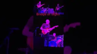 RobinTrower.com Bridge of Sighs LIVE at the Orpheum Theater. @musicUcansee #musicucansee