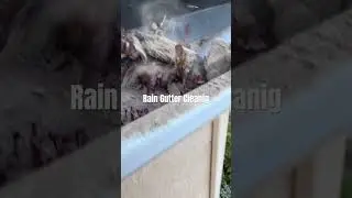 Rain Gutter cleaning vacuuming out  ￼ heavy sand built up. Gutters need to be upgraded to 6&rdquo;