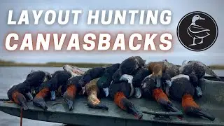 LOUISIANA Public Land Diver Hunting 2021