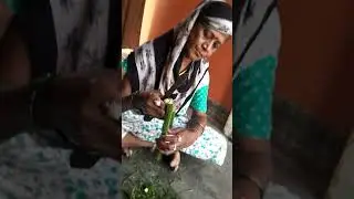 Skuntala  mahavar